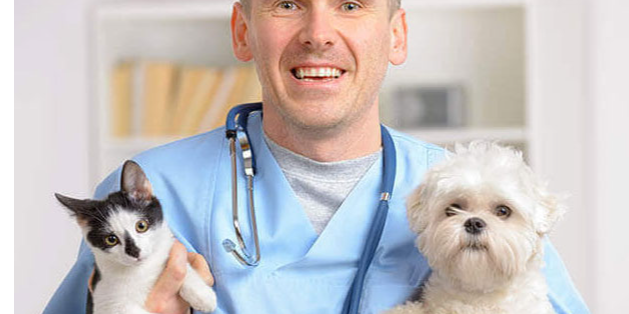 Veterinary Hospitals and Clini